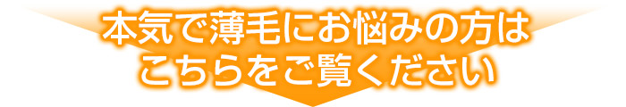 本気で薄毛にお悩みの方はこちらをご覧ください